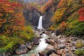 妙高得とくキャンペーンプラン開始しました♪（1名様あたり最大3000円引き＆地域クーポン最大2000円付き）