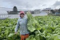 毎年恒例の野沢菜採りを行いました。